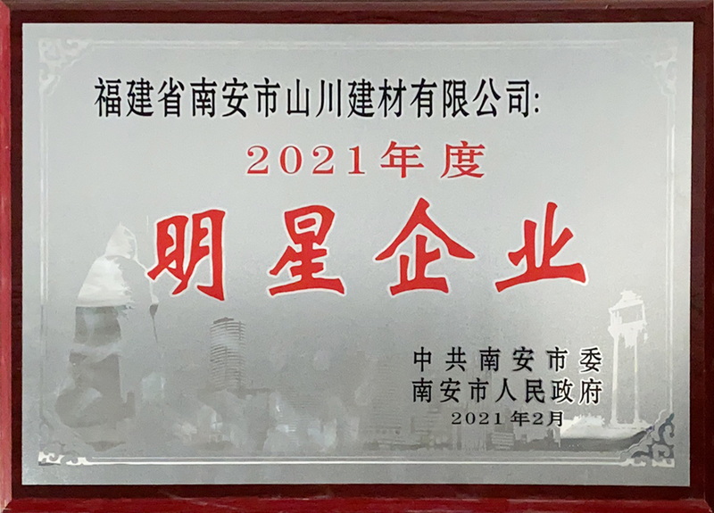 2021明星企業